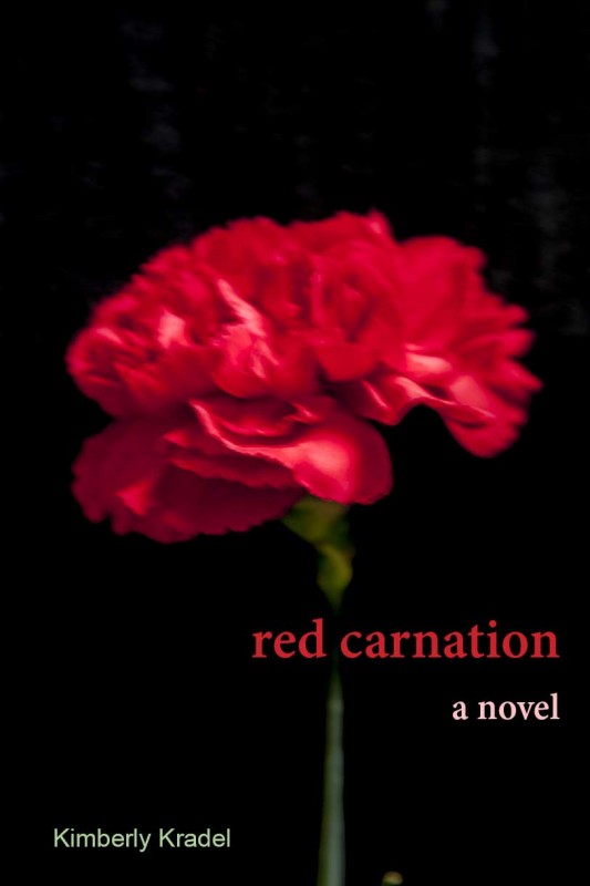 Novel Experiment :: Red Carnation :: Chapter 3